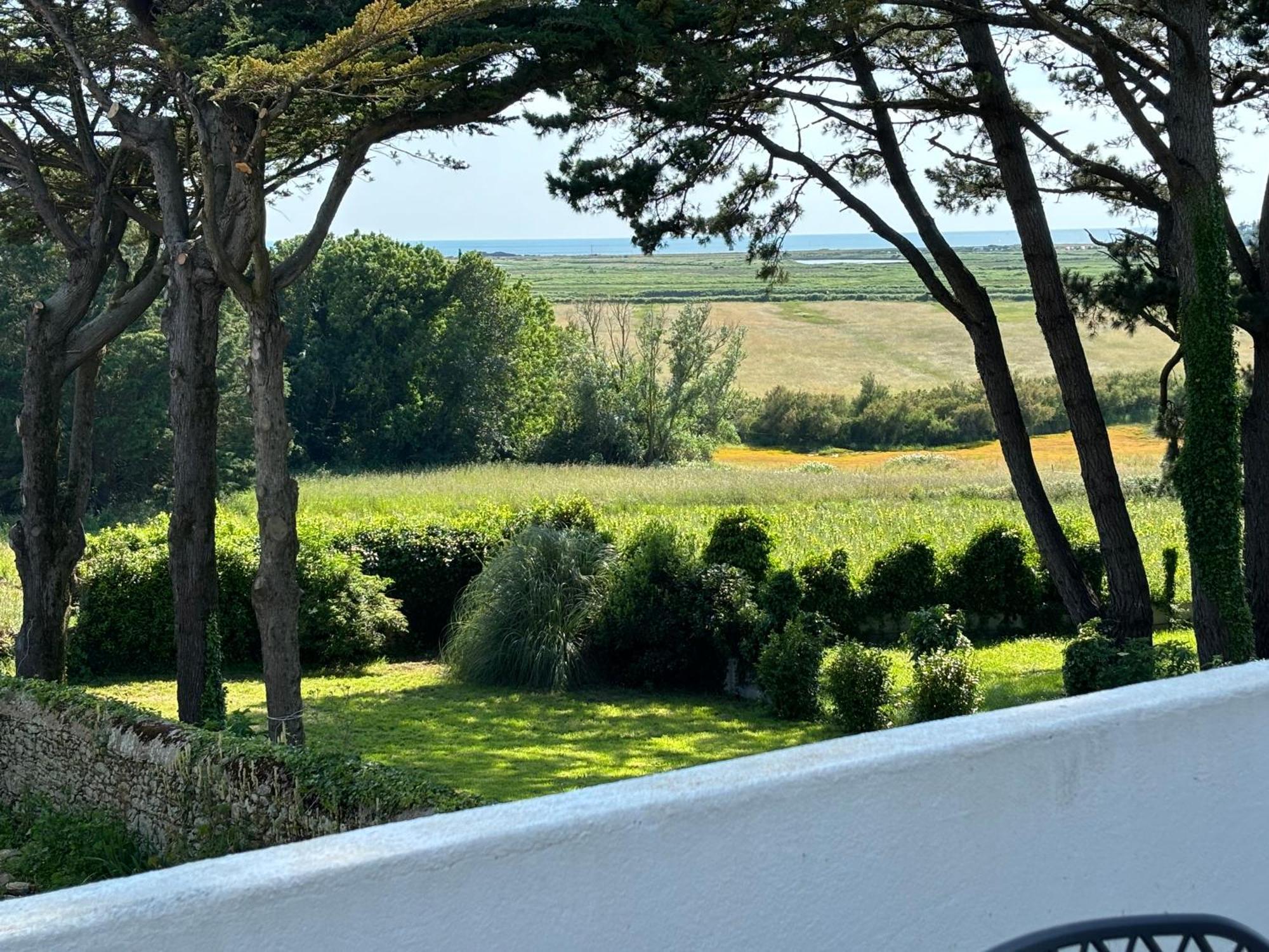 Villa Vieilles Vignes Vue Mer Billiers Ngoại thất bức ảnh